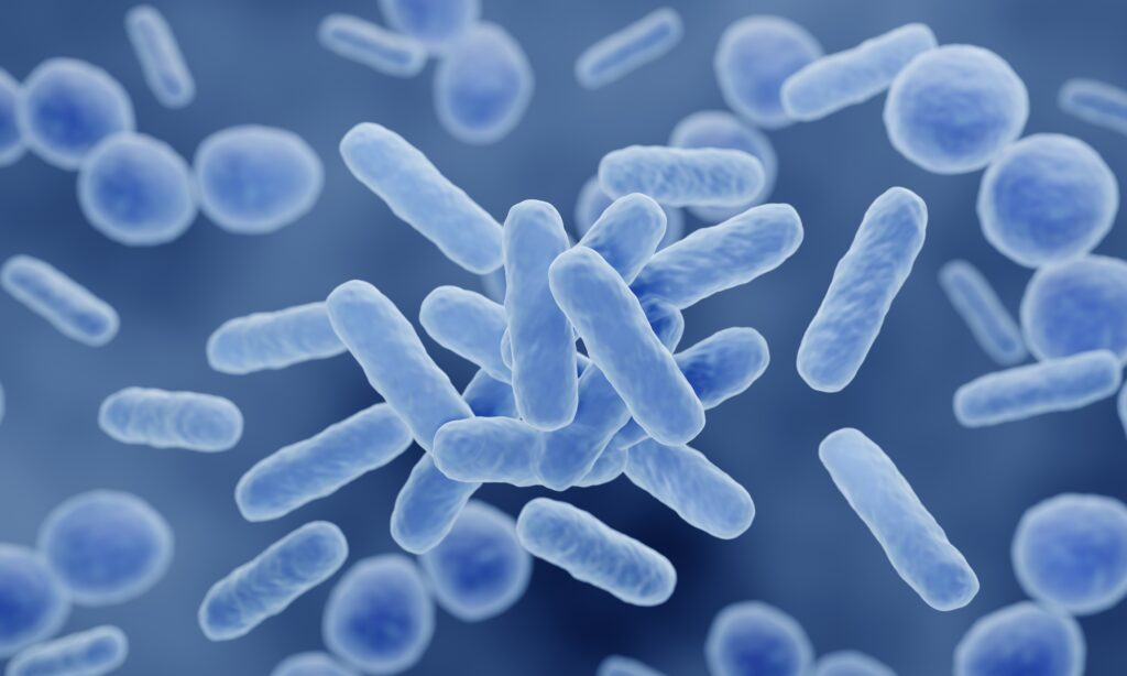 Lactobacillus, Legionella rendering magnified for view.