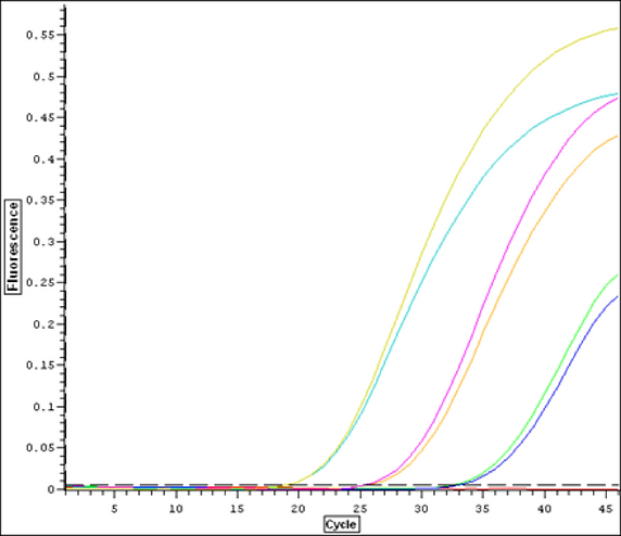 Using qPCR to detect viruses.